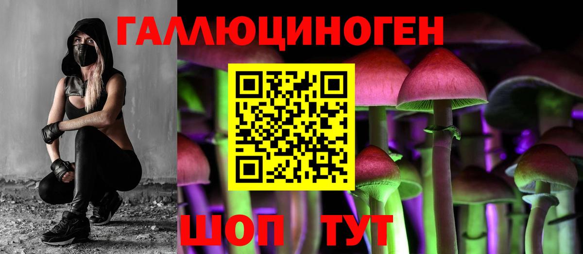Электросталь  Псилоцибиновые грибы ЛСД  Вход с VPN 