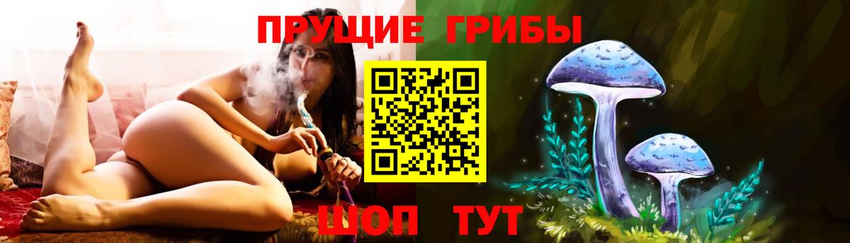 Псилоцибиновые грибы мицелий Электросталь